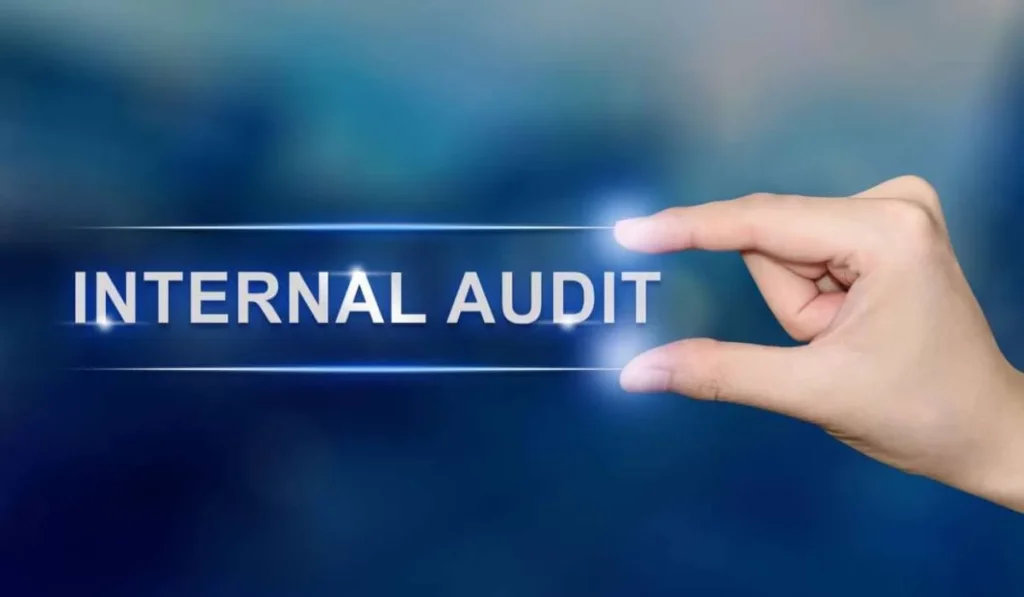 What is an Internal Audit In Industries