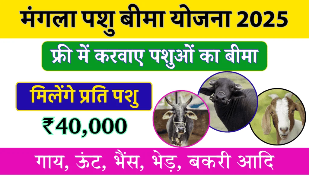 CM Mangla Pashu Bima Yojana 2025